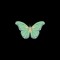 asma_selem