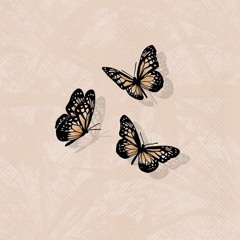cie.lesti