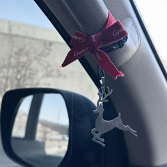 غانم القحطاني