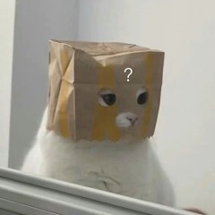 ㅤ