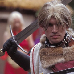 Distract the Paladin