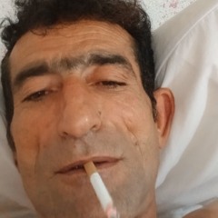 Farzad Mahmoudi595