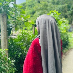 freelancer sajida