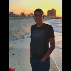 malek samir