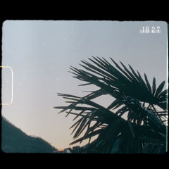ale