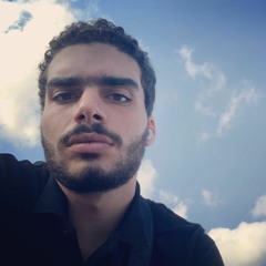 MOSTAFA ELMARAGHY