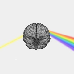 MagneticResonance