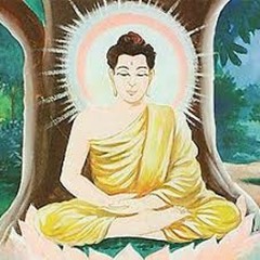 Agrolla