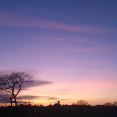 SYREDIEDINSUNSET