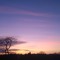 SYREDIEDINSUNSET