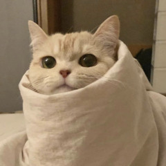 baby trap