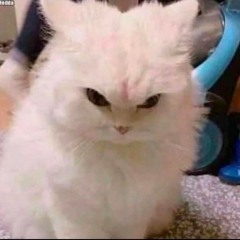 nono_666