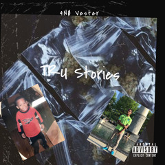 4NØ Vester