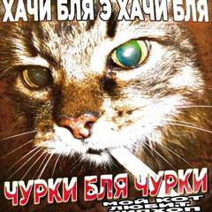 catgu