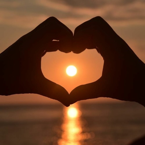 Stream Love Sound Music music | Listen to songs, albums, playlists for ...