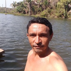 rENATO PEDREIRO