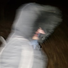 shino