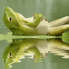 Just chilling