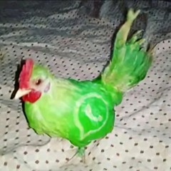 Untitled Playlist