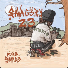 Rob $avag3 (rob_savag3)