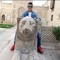 Youssef Wahed Mepark