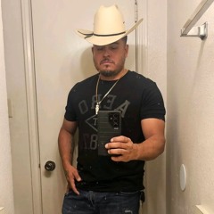 Los Elementos De Culiacan La Casa De Ladrillo_bajado_de_(GENTEFLOW.com).mp3