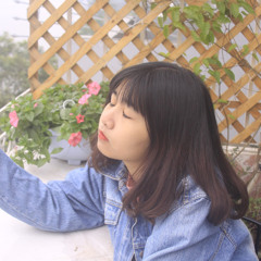 dieuanhthesugar