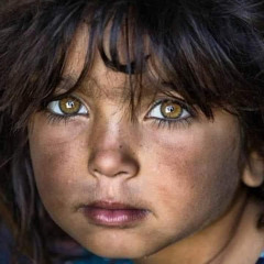 Amr Shoukry
