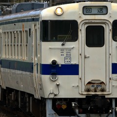 小判鮫