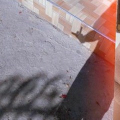 Douny🥷🏾🐐🔥