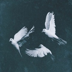 basmala moheb🕊️