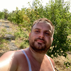 pouyan itami