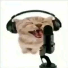 ؤىومهابقغملتبنبن