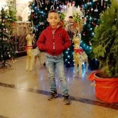 Youssry Shokr