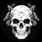 Dj Skulltek