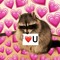 raccoonx3