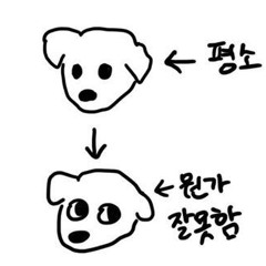 전라디언