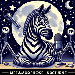 Métamorphose nocturne // Le zèbre slam