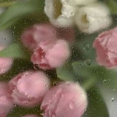 l ! l @