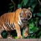 astha