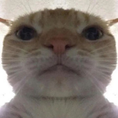 méo