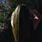 Dsh_aa
