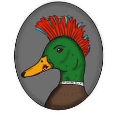 Mohican Duck