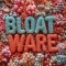 BLOATWARE