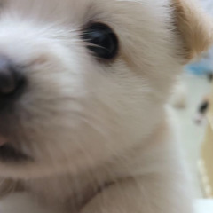 jsgdjwydysh