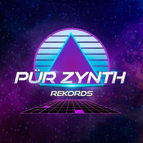 PürZynth Rekords — artist photo