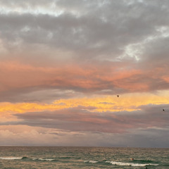 Dani Morales Leonhardt