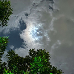 سلطان المنصوري ♡