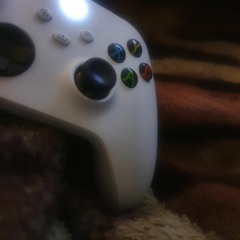 gost in a shell