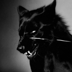 Mo3er • مُسِر